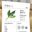 수망912 | [ 수망912 40년 제주 황칠 ] 제주여행선물 추천