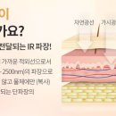영라이트