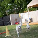 개판살판 이미지