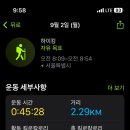 오늘산책 이미지