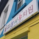 큰나무유치원 | 경산 펜타힐즈 유치원 체험활동 많은 창파유치원 솔직후기