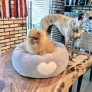 더블유펫 테마파크 이미지