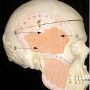 서울턱튼튼구강내과치과의원 이미지