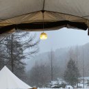 양평숲 비룡캠프장 이미지