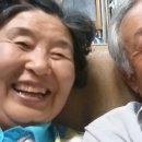 월학민박 이미지