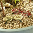 루디(Ludi) 이미지