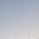 고라니김밥 이미지