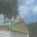 가게 안에 진짜 버드나무가 있다고? 버드나무도토리묵밥집 방문후기