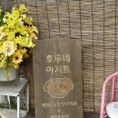 잔디 | 서울근교 단독대관 애견운동장 호두네 아지트 120평 천연잔디 뛰뛰 후기
