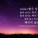 일편단심 - 서초구 사임당로 31 | 일편단심