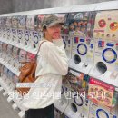 F0046 | 장원영 미우미우 백팩, 볼캡 봄 일본 여행 15도 옷차림 명품 코디!