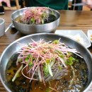 샘골길 59-9, (안림동) | 충주 안림동 막국수 맛집 시원한 여름 별미 충주막국수 현미치킨 점보막국수?!