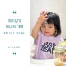 기록 [해운대바닷가, 조선호텔 수영장, 사지목나무그늘 캠핑장, 오노홈 책장, 블루래빗 토이북 전집]
