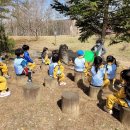 파주시유아숲체험원 이미지