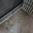 포스코더샾 | 남양주별내포스코더샵 이사청소후기