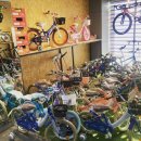 고령 삼천리 자전거 이미지