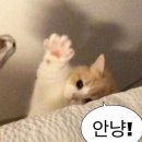 메리데이즈 | W1-1. 제주추억 애담스냅 및 케이살롱 그리고 메리데이즈 후기