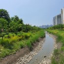 서창2동-20 이미지