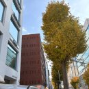 토요일오후 | 메비 아카이브 세일- 토요일 오후 후기 (메비 코트/스커트)