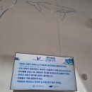 고래놀이터 | 충남 서천 실내 가볼만한 곳 씨큐리움 할인팁과 고래고래놀이터예약