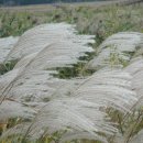 내고향 순천 이미지