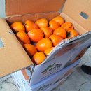 현천농장 이미지