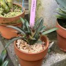 우성농원 이미지