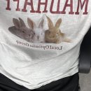 삼호당구장 이미지