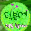 네트리스
