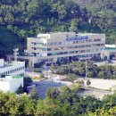 삼척시치매안심센터 이미지