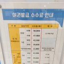 구청민원실 | 수지구청 여권발급민원실 후기 여권발급 준비물 &amp; 소요시간 발급비용 알아보기