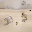 견생낙원 이미지