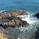 읍천항 탈해왕길 화장실 | 경주 가볼만한곳 양남 주상절리 전망대 주차 산책코스