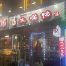 입큰오리 이미지