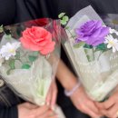 안스부산 이미지