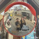 해천명가 | [26.02] 칭다오여행 2일차 :) 소어산, 연대커피, 루쉰공원, 잔교, 메이다얼, 명가딤섬,5.4광장, 족생당