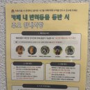 티틸 | 수유역카페 티틸 CAFE, 수유역 분위기 좋은 카페 크림라떼 맛집