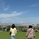 카페판다인천 | 인천 인스파이어 근처 카페 추천, 아기랑 가기 좋은 바다뷰 카페 을왕리 빵판다 솔직 후기