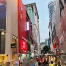 스카이캣명동2호점 이미지