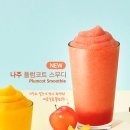 스타벅스 프리퀀시, 메가 커피 알바 후기 2탄!!