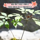 임산물클러스터 가공유통센터 이미지