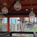 동인삼덕생태 스토리 이미지