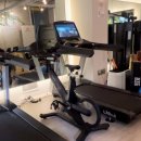 머슬 인 이미지