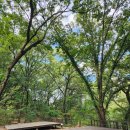 모현야영장 | [경기도 용인 캠핑장 추천] 캠지기 모현야영장 솔직후기｜수제버거 &amp; 조개구이 캠핑 요리