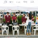 쿠스팀