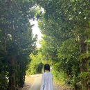 북부코스남부코스 이미지