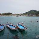 [진도의 섬, 세상의 별] 세계 최고의 톳 생산지…옥도·눌옥도 이미지