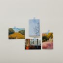 라헬 - 군포시 산본천로 62 | 화곡동 속눈썹펌 라헬 노글루 수분펌 후기