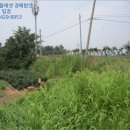 천안시성남면봉양보건진료소 네이버블로그