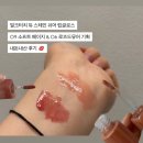 밀크터치 듀스테인 립글로스 09 소프트베이지 &amp; 06 로즈드뮤어 올영기획 내돈내산 솔직후기